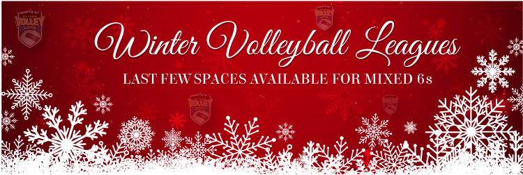 Winter Volleyball Leagues 2021